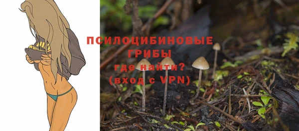 марки lsd Надым