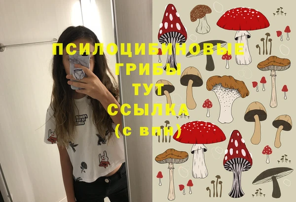 дмт Нея