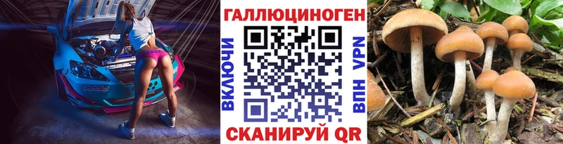 Галлюциногенные грибы мицелий  Юрьев-Польский 