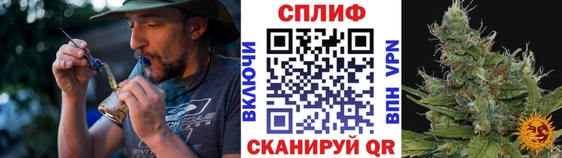Конопля AK-47  Юрьев-Польский 